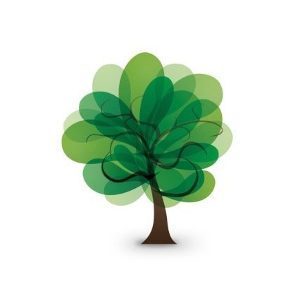 Forest Super Foods Coupons and Promo Code