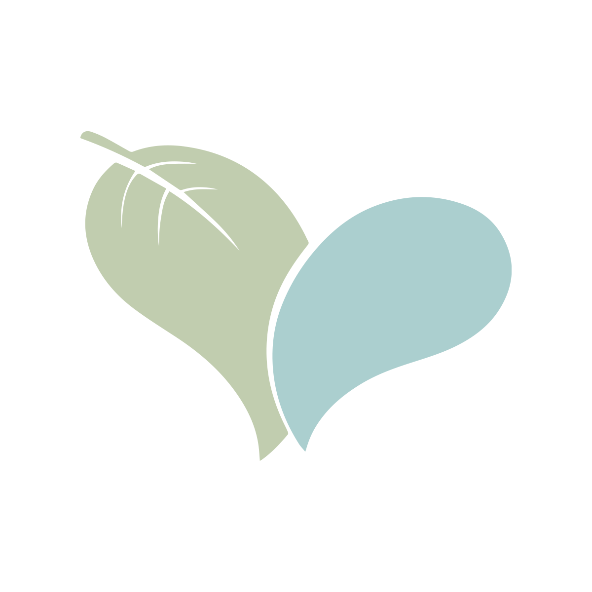 Live Love Spa Coupon Coupons and Promo Code